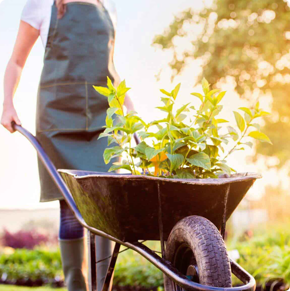 Nourishing Soil